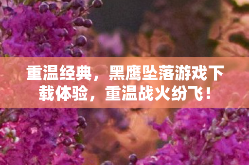 重温经典，黑鹰坠落游戏下载体验，重温战火纷飞！