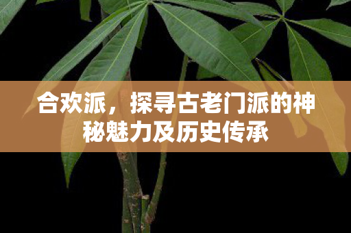 合欢派,探寻古老门派的神秘魅力及历史传承 合欢派,探寻古老门派的神秘魅力及历史传承