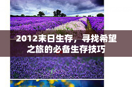 2012末日生存,寻找希望之旅的必备生存技巧 2012末日生存,寻找希望之旅的必备生存技巧