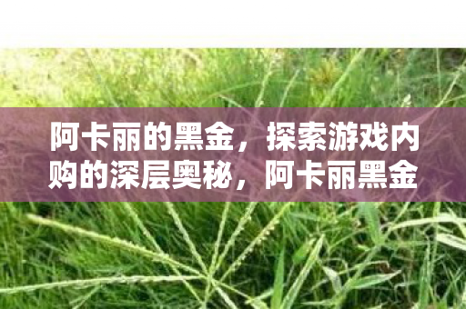 阿卡丽的黑金，探索游戏内购的深层奥秘，阿卡丽黑金揭秘，游戏内购的深层奥秘