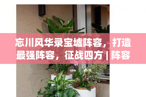 忘川风华录宝墟阵容，打造最强阵容，征战四方 | 阵容搭配策略