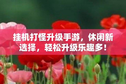 挂机打怪升级手游，休闲新选择，轻松升级乐趣多！