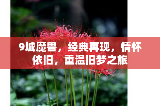 9城魔兽,经典再现,情怀依旧,重温旧梦之旅 9城魔兽,经典再现,情怀依旧,重温旧梦之旅
