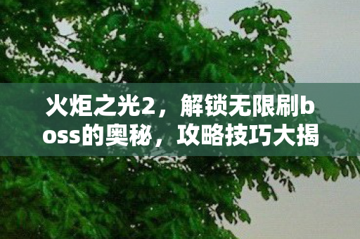火炬之光2，解锁无限刷boss的奥秘，攻略技巧大揭秘