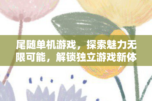 尾随单机游戏，探索魅力无限可能，解锁独立游戏新体验！