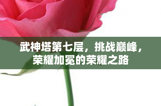 武神塔第七层，挑战巅峰，荣耀加冕的荣耀之路