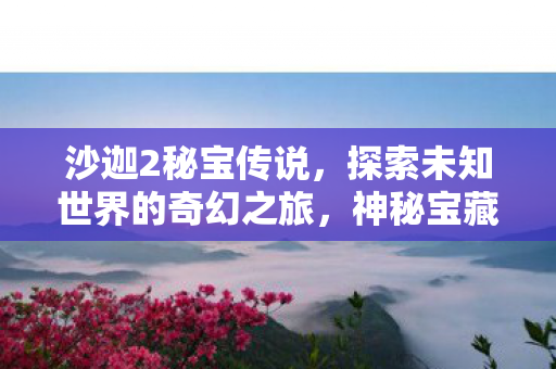 沙迦2秘宝传说，探索未知世界的奇幻之旅，神秘宝藏
