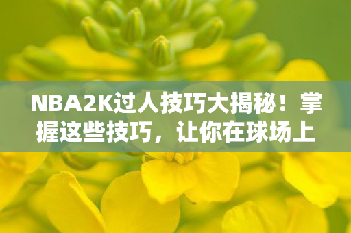 NBA2K过人技巧大揭秘！掌握这些技巧，让你在球场上如虎添翼，成为球场霸主！