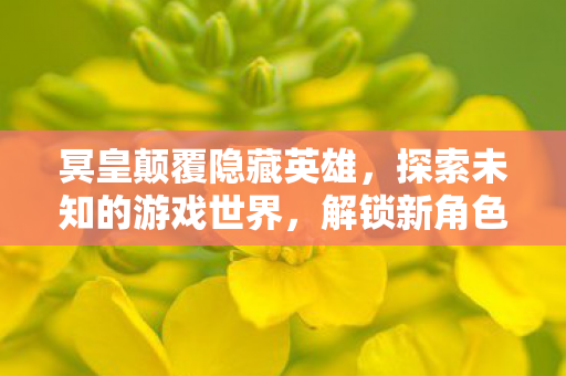 冥皇颠覆隐藏英雄，探索未知的游戏世界，解锁新角色！