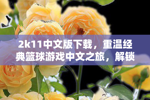 2k11中文版下载,重温经典篮球游戏中文之旅,解锁更多精彩! 2k11中文版下载,重温经典篮球游戏中文之旅,解锁更多精彩!