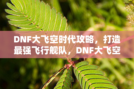 DNF大飞空时代攻略，打造最强飞行舰队，DNF大飞空时代，打造最强飞行舰队攻略