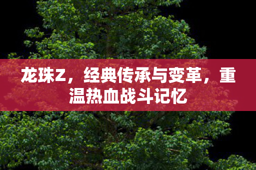 龙珠Z，经典传承与变革，重温热血战斗记忆
