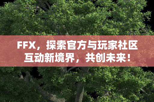 FFX,探索官方与玩家社区互动新境界,共创未来! FFX,探索官方与玩家社区互动新境界,共创未来!