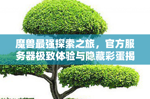 魔兽最强探索之旅,官方服务器极致体验与隐藏彩蛋揭秘 魔兽最强探索之旅,官方服务器极致体验与隐藏彩蛋揭秘