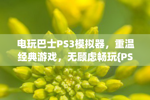 电玩巴士PS3模拟器,重温经典游戏,无顾虑畅玩{PS3模拟器} 电玩巴士PS3模拟器,重温经典游戏,无顾虑畅玩{PS3模拟器}