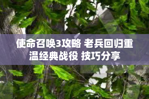 使命召唤3攻略 老兵回归重温经典战役 技巧分享