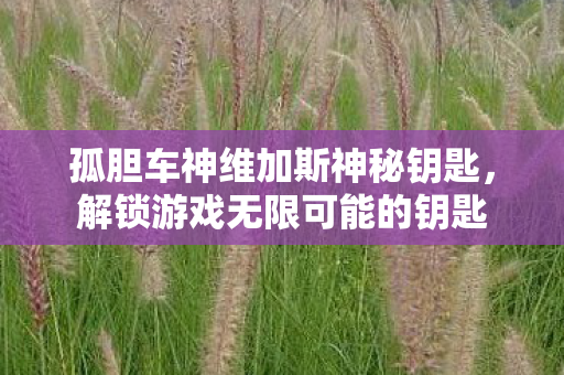 孤胆车神维加斯神秘钥匙,解锁游戏无限可能的钥匙 孤胆车神维加斯神秘钥匙,解锁游戏无限可能的钥匙