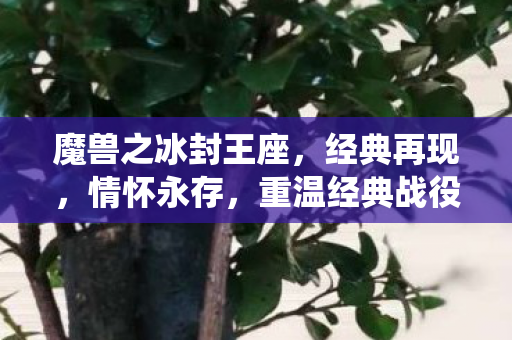 魔兽之冰封王座,经典再现,情怀永存,重温经典战役! 魔兽之冰封王座,经典再现,情怀永存,重温经典战役!