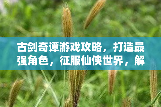 古剑奇谭游戏攻略，打造最强角色，征服仙侠世界，解锁隐藏剧情！