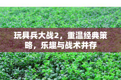 玩具兵大战2，重温经典策略，乐趣与战术并存