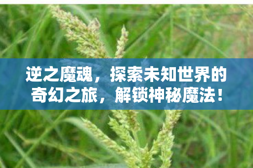 逆之魔魂，探索未知世界的奇幻之旅，解锁神秘魔法！