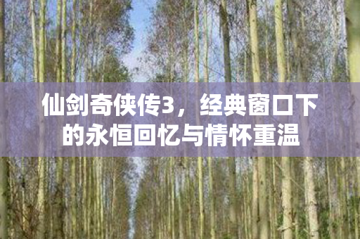 经典窗口下的永恒回忆与情怀重温图片