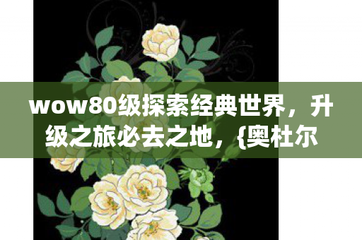 wow80级探索经典世界，升级之旅必去之地，{奥杜尔}