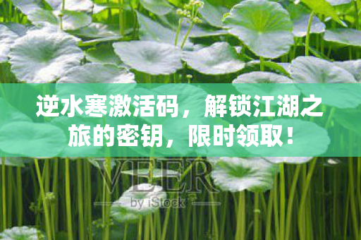 逆水寒激活码，解锁江湖之旅的密钥，限时领取！