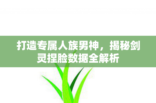 打造专属人族男神，揭秘剑灵捏脸数据全解析