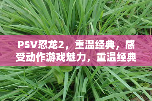 PSV忍龙2，重温经典，感受动作游戏魅力，重温经典动作游戏，重温PSV忍龙2