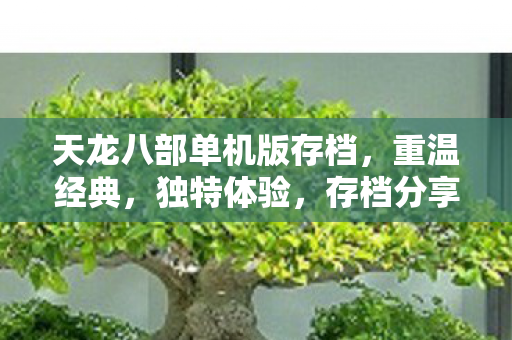 天龙八部单机版存档，重温经典，独特体验，存档分享！