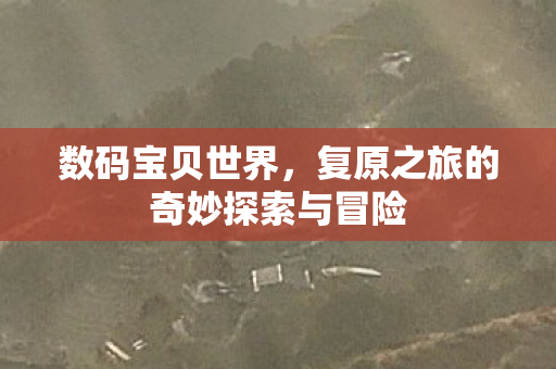 复原之旅的奇妙探索与冒险图片