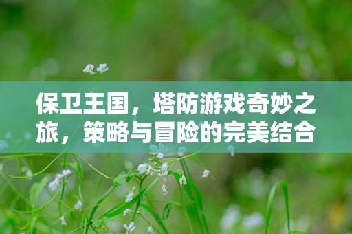 保卫王国，塔防游戏奇妙之旅，策略与冒险的完美结合