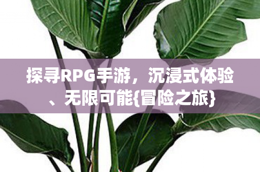探寻RPG手游，沉浸式体验、无限可能{冒险之旅}