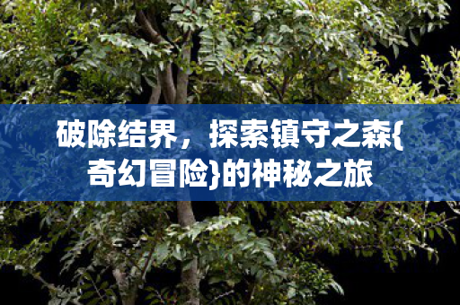 破除结界，探索镇守之森{奇幻冒险}的神秘之旅
