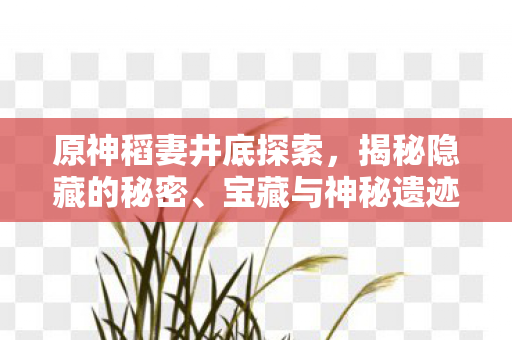 原神稻妻井底探索，揭秘隐藏的秘密、宝藏与神秘遗迹