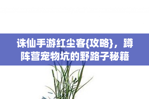 蹲阵营宠物坑的野路子秘籍图片
