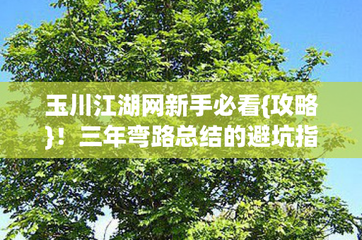 三年弯路总结的避坑指南图片