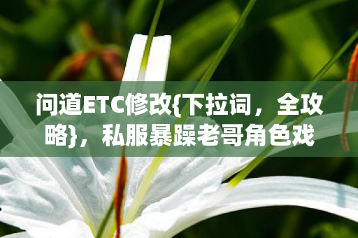 问道ETC修改{下拉词,全攻略},私服暴躁老哥角色戏精玩法 问道ETC修改{下拉词,全攻略},私服暴躁老哥角色戏精玩法