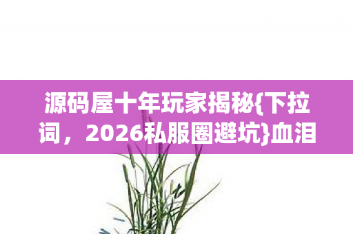 源码屋十年玩家揭秘{下拉词，2026私服圈避坑}血泪史