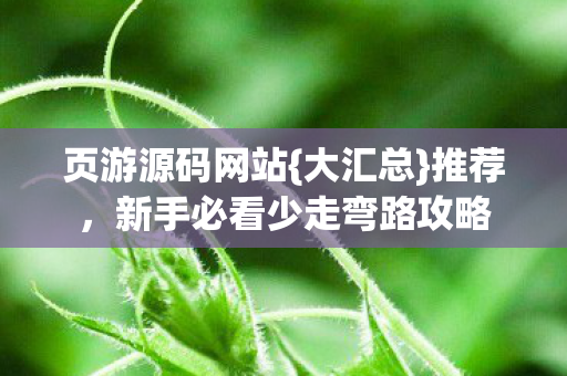 页游源码网站{大汇总}推荐，新手必看少走弯路攻略