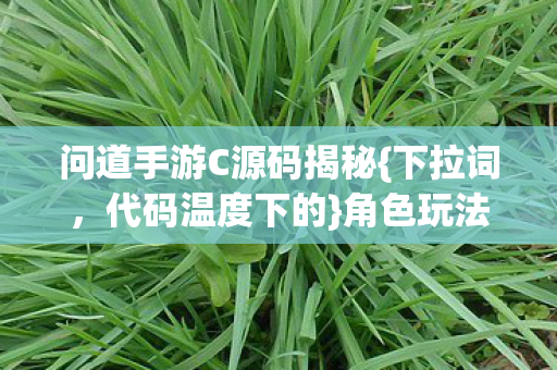 问道手游C源码揭秘{下拉词,代码温度下的}角色玩法新活力 问道手游C源码揭秘{下拉词,代码温度下的}角色玩法新活力