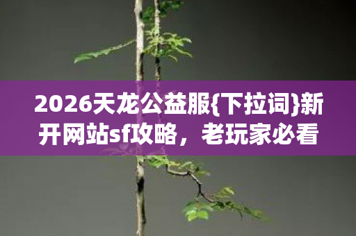 2026天龙公益服{下拉词}新开网站sf攻略,老玩家必看玩法 2026天龙公益服{下拉词}新开网站sf攻略,老玩家必看玩法