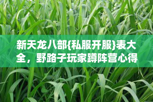 野路子玩家蹲阵营心得图片