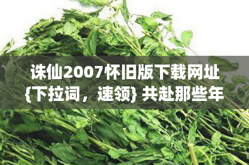 诛仙2007怀旧版下载网址图片