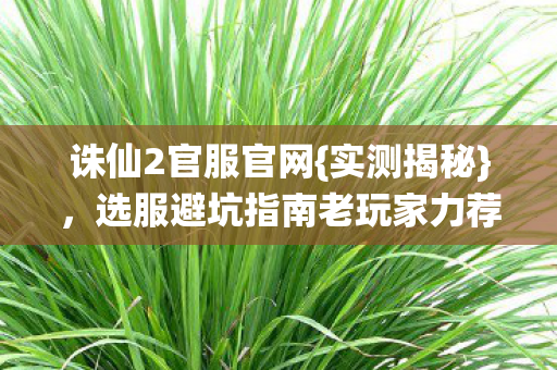 选服避坑指南老玩家力荐图片