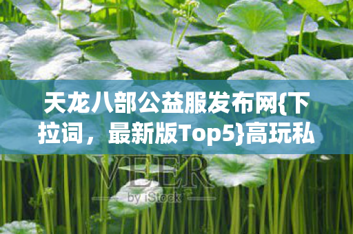 天龙八部公益服发布网图片