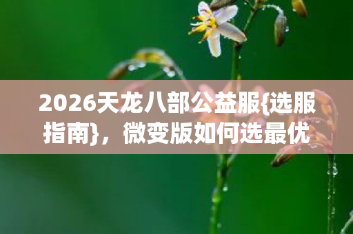 微变版如何选最优新人必看图片