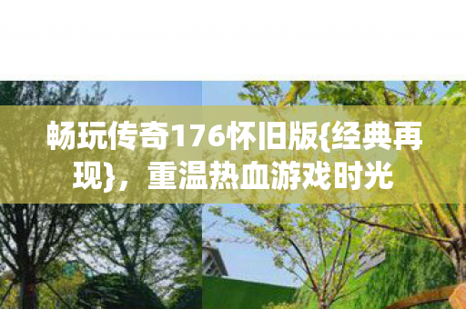 畅玩传奇176怀旧版{经典再现},重温热血游戏时光 畅玩传奇176怀旧版{经典再现},重温热血游戏时光