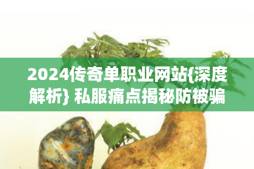 2024传奇单职业网站{深度解析} 私服痛点揭秘防被骗 2024传奇单职业网站{深度解析} 私服痛点揭秘防被骗